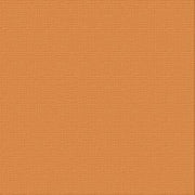 CARD STOCK 216GSM 10pack - Avalara 12 x 12
